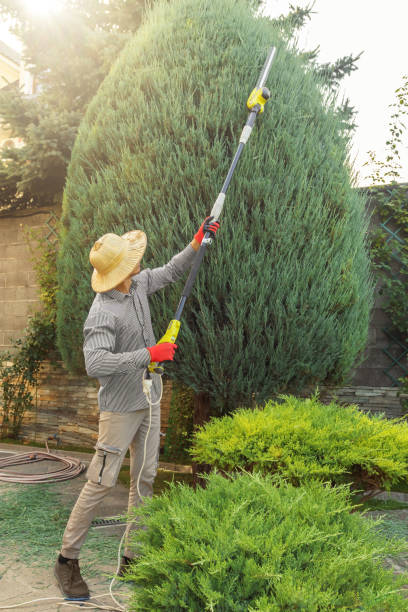 Best Pest Control for Lawns  in Home, WA